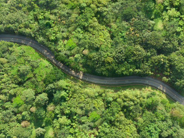 vista aérea de la carretera de asfalto en el bosque tropical. camino sinuoso desde el puerto de alta montaña. paisaje de textura del bosque de vista superior - thailand forest outdoors winding road fotografías e imágenes de stock