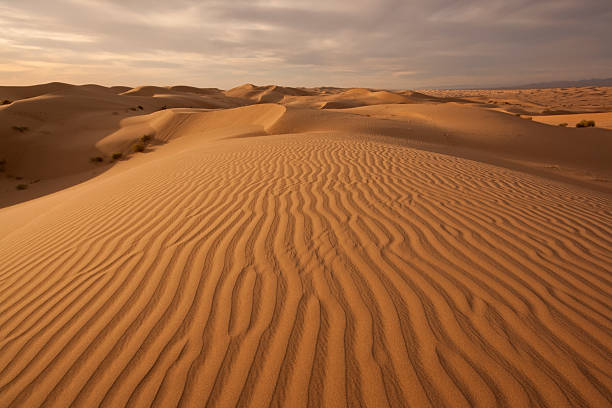 dunas imperiales al atardecer - sand dune sand orange california fotografías e imágenes de stock