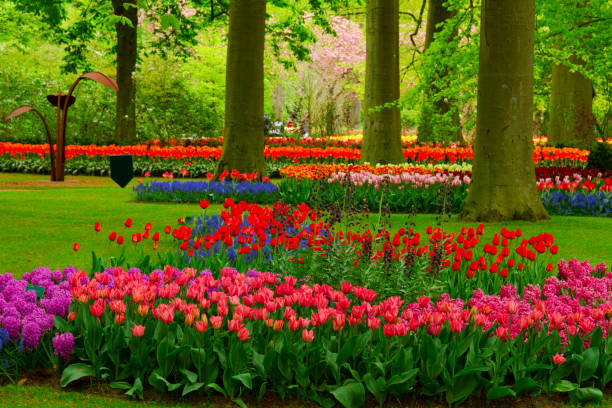 istock fresh lawn with flowers 1200134488
