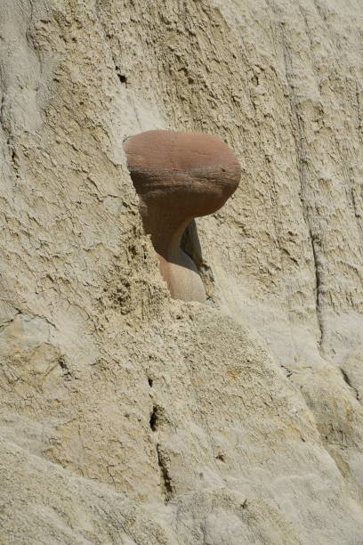 istock Cannonball Concretions at Theodore Roosevelt NP 1200134529
