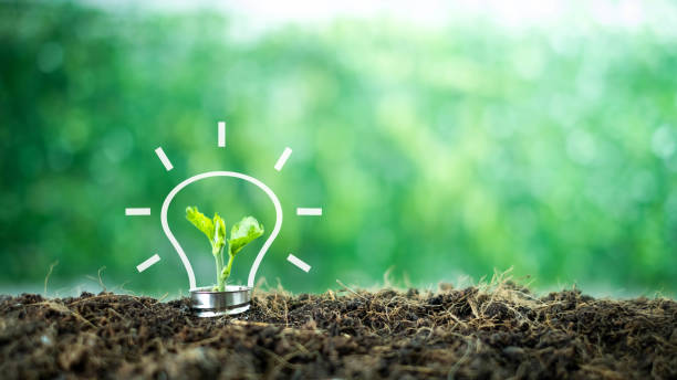 istock A small tree born on a light bulb with icons light bulb for renewable, sustainable development over blurred green nature background.  environment concept.Ecology concept. 1200134629