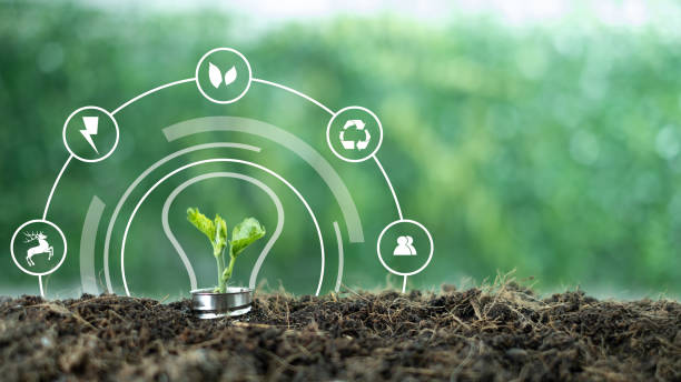 A small tree born on a light bulb with icons light bulb for renewable, sustainable development over blurred green nature background. environment concept.Ecology concept.green energy concept energy sources sustainable Ecology Elements un pequeño árbol nacido en una bombilla con iconos bombilla para el desarrollo renovable y sostenible sobre el fondo verde borroso de la naturaleza. concepto de medio ambiente. concepto ecológico.concepto de energía verde fuentes de energía sostenibl