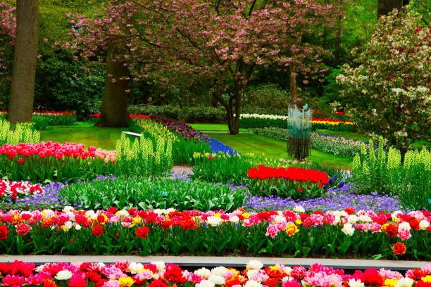 istock fresh lawn with flowers 1200137554