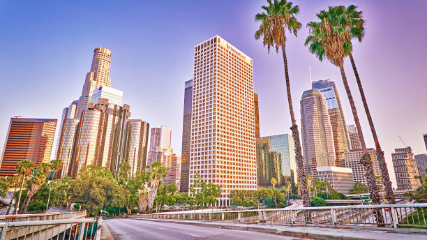istock Palm Tree and Los Angeles Business District 1200139339