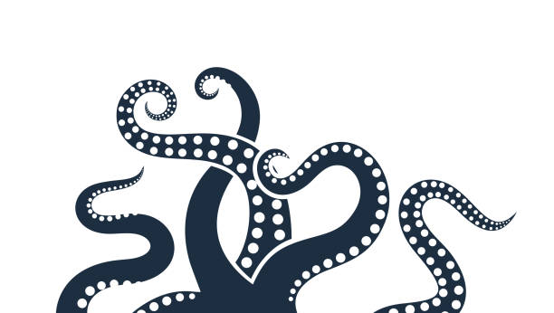illustrazioni stock, clip art, cartoni animati e icone di tendenza di logo polpo. polpo isolato su sfondo bianco - tentacle