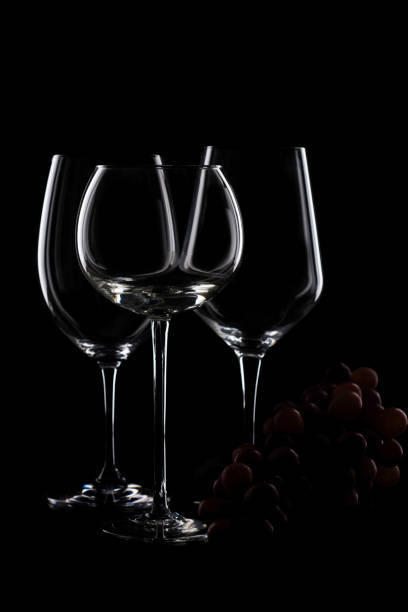 istock glasses for wine and spirits tasting 1200143647