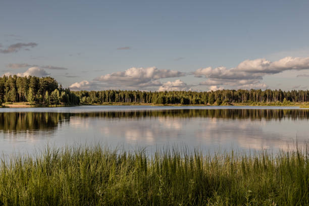 istock Mirror surface of a forest lake in clear summer weather 1200143909