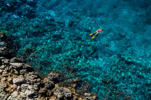 istock Snorkeling in clear turquoise sea 1200143914