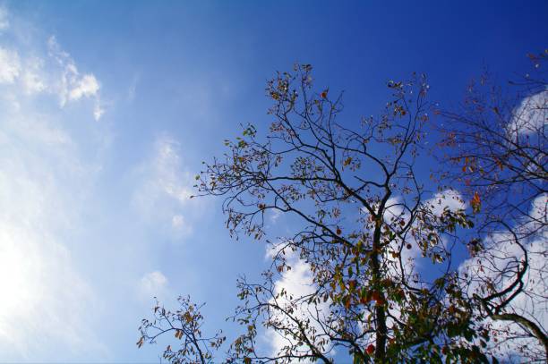 istock I'm glad to see you in the past fall. 1200145587
