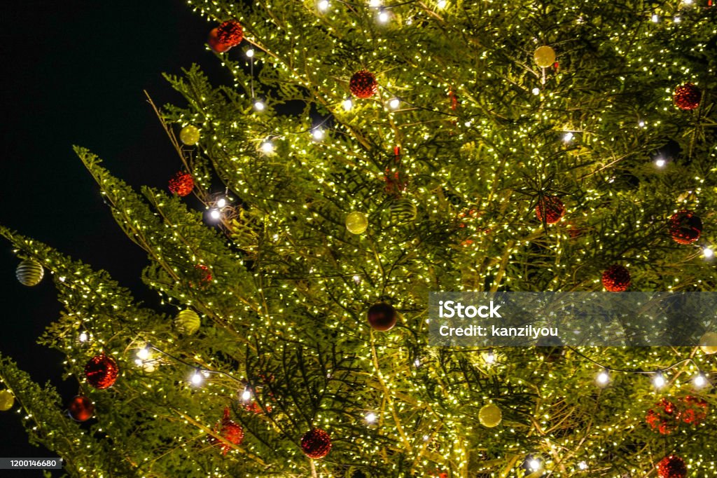 Shiny Christmas tree (Christmas Market) Shiny Christmas tree (Christmas Market). Shooting Location: Yokohama-city kanagawa prefecture Art Stock Photo