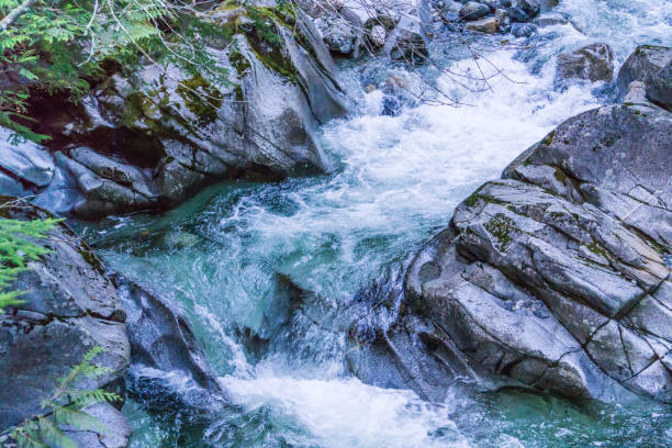istock Creek Whtewater And Rocks 5 1200148451
