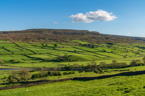 istock Near Reeth, North Yorkshire, England 1200148738