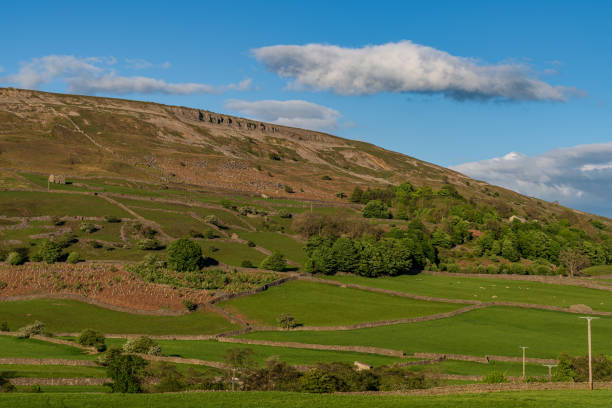 istock Between Langthwaite and Reeth, North Yorkshire, England 1200148744