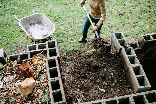 An adult shovels finished compost made from assorted vegetable, fruit, yard clippings, and other things in to a wheelbarrow. The nutrient rich and fertile soil is ready for gardening and planting.  Her chickens snack on some of the fresh food on the surface.   Shot in Washington State, USA.