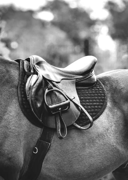 istock Black horse leather saddle 1200151760