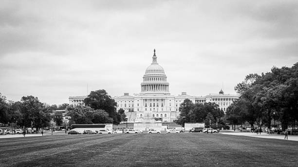 istock Capitol building shot from the lawns 1200151897
