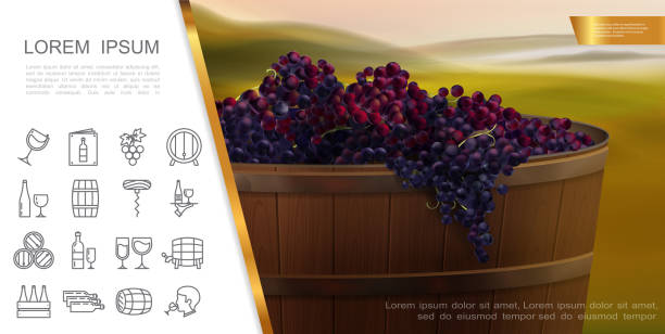 현실적인 와인과 포도 요소 개념 - grape bunch cabernet sauvignon grape isolated stock illustrations