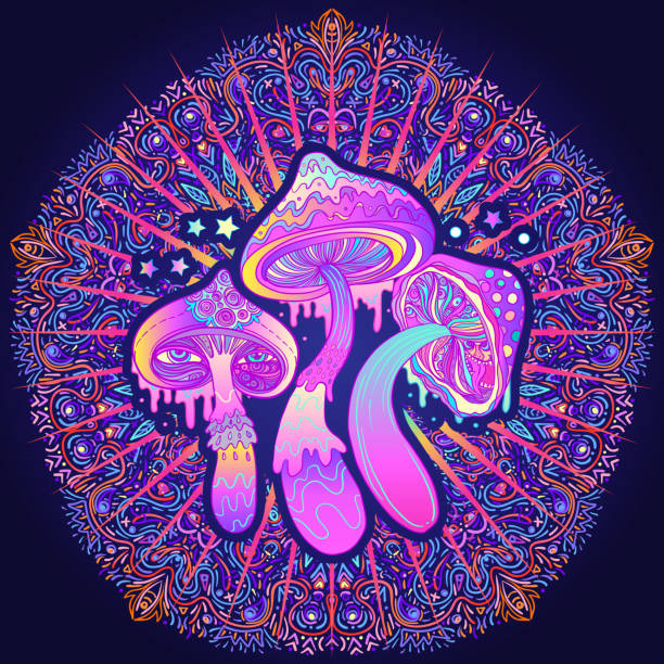 Magic mushrooms.  Psychedelic hallucination. Vibrant  vector illustration. vector art illustration