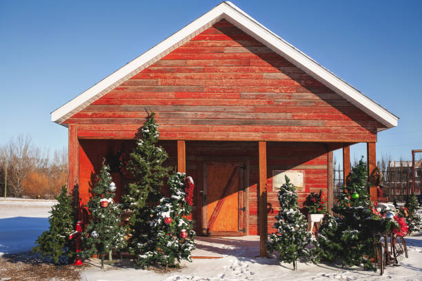 istock Christmas trees and a red shed 1200156587
