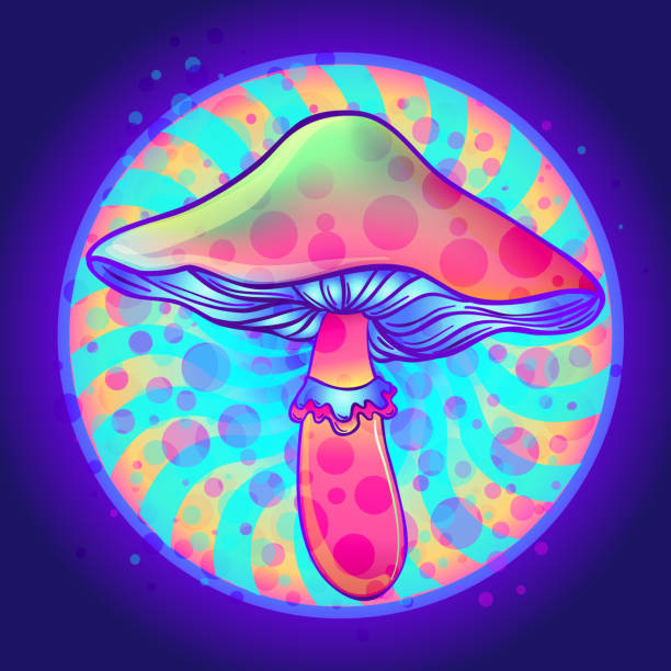 волшебные грибы.  психоделическая галлюцинация. яркая векторная иллюстрация. - magic mushroom psychedelic mushroom fungus stock illustrations