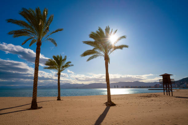 Cullera beach los Olivos in Mediterranean Valencia of Spain