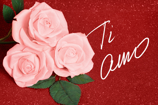 Valentines day card with three pink Roses on red boke Background. Love and Wedding Day concept. Card valentine day roses text.