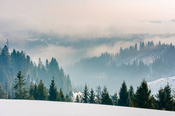 majestic countryside at sunrise in wintertime stock photo