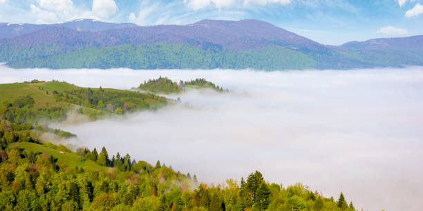 istock mountainous countryside in the morning 1200158767