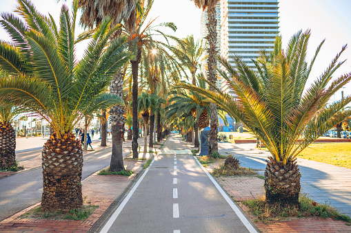 Barcelona, Spain - September 14, 2023: The promenade of the Passeig de Lluís Companys, in the heart of Barcelona.