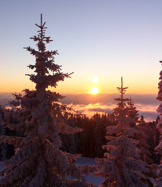 istock Winter in snowy mountains 1200160791