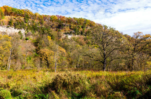 istock Whitewater park woodlands and bluffs 1200163794