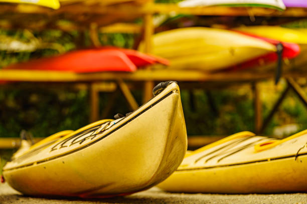 istock Kayaks on water shore. Rental area 1200167292