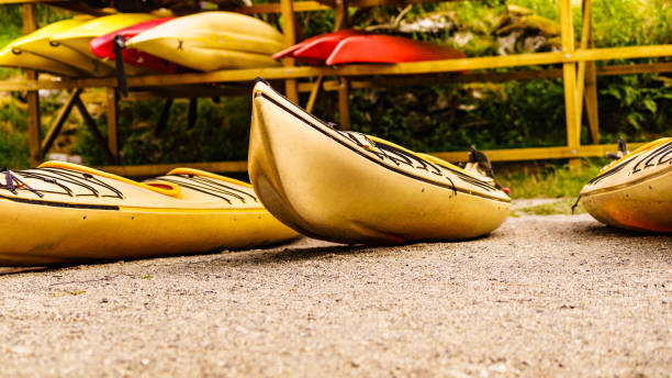 istock Kayaks on water shore. Rental area 1200167297