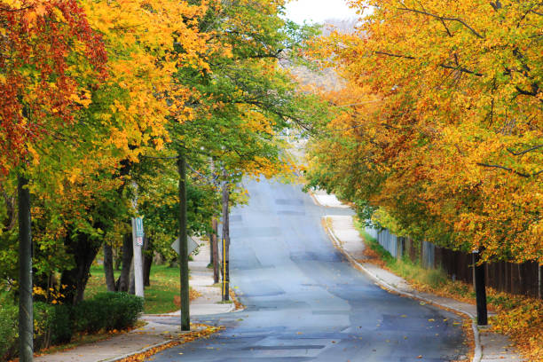 The beautiful streets of Bright in the Victorian High Country during autumn