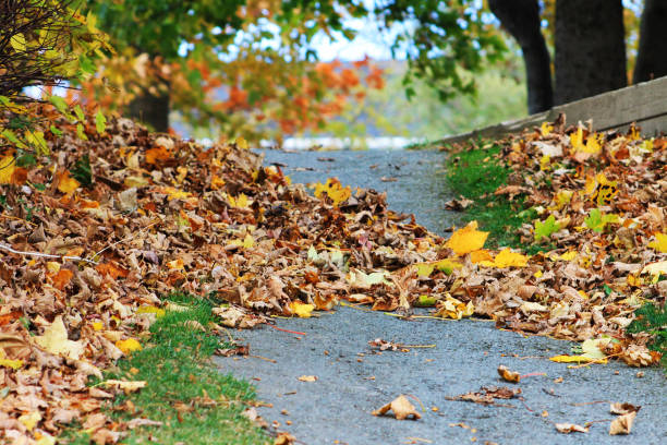 istock Walking trail through the park, autumn. 1200167516