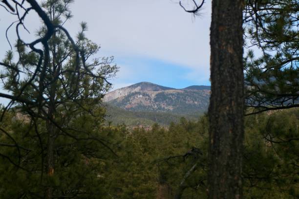 istock Mountain View from hiking trail in Santa Fe 1200170766