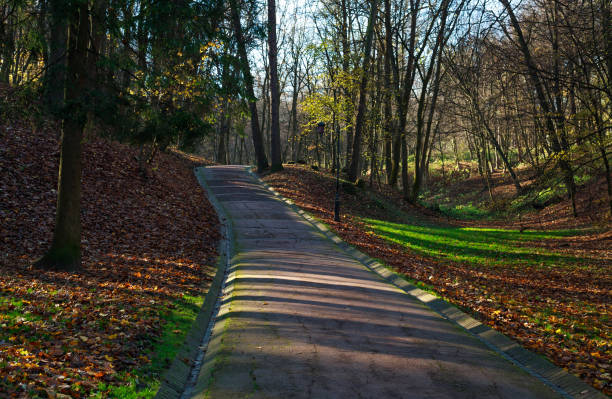 istock Landscape in city botanical public park in spring on sun light 1200171115