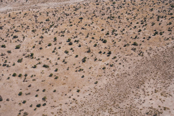 istock Arid Savanna Aerial Background with Bushes and Trees 1200172270