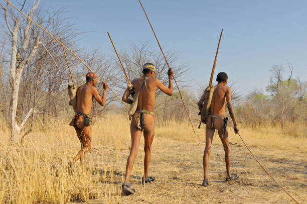 KALAHARI NAMIBIA - JAN 24, 2016: Close-up portrait hunter Bushman. The San people, also known as Bushmen are members of various indigenous hunter-gatherer peoples of Southern Africa