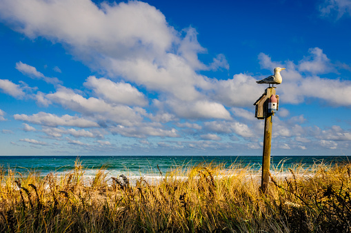 A carved seagull sits on top of  a wooden pole holding two rustic bird houses at the oceans edge.