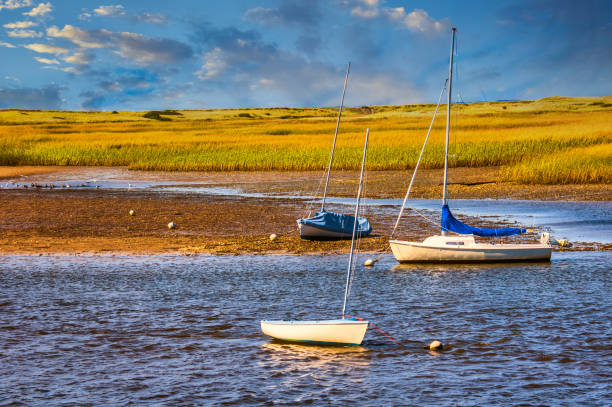 Three small sailboats  illuminated by a late afternoon sun, rest on the sandy bottom of Pamet Harbor in Truro, Massachusetts at low tide.