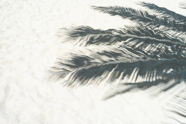 istock Palm leaf shadows on a white sand on tropical beach. 1200183170