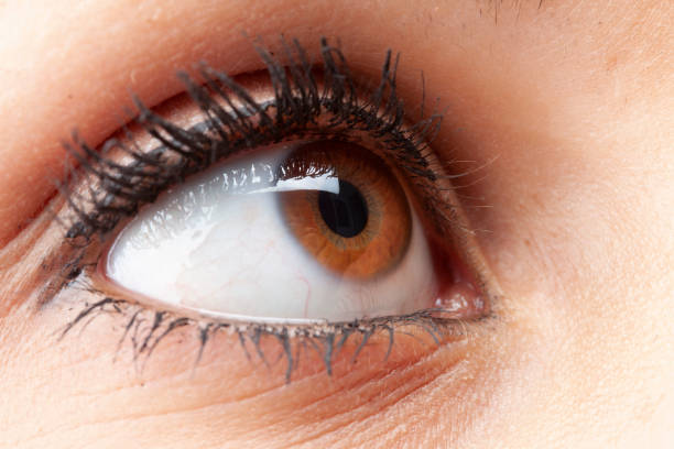 istock big brown eyes close up 1200185745