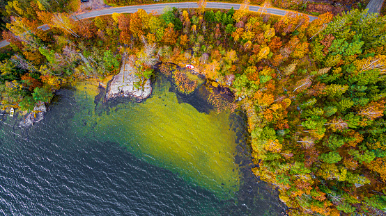 Bay of water by autumn forest aerial view