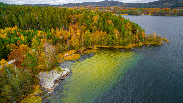 Bay of water by autumn forest aerial view