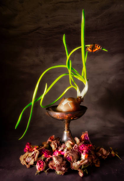 Onion in a silver bowl photographed as stilleben with antique artefacts, ancient processed
