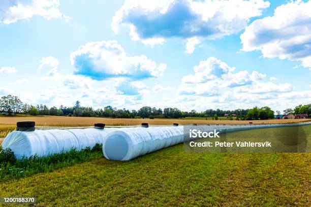 Silage Worm Stock Photo - Download Image Now - Bale, Plastic, Rolled Up