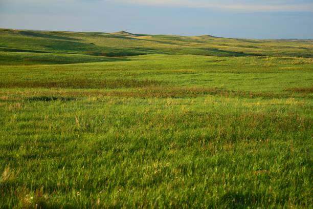 istock Grasslands at Theodore Roosevelt NP 1200190313