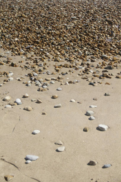 istock High-angle view of pebbles on the beach 1200191731