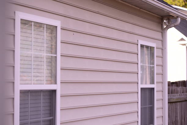istock Windows Of The House From The Backyard 1200196096